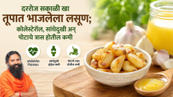 तूपात भाजलेला लसूण ठरतो आरोग्यासाठी अमृत! रिकाम्यापोटी खाल्ल्यास पचनापासून हृदयापर्यंत मिळतील जबरदस्त फायदे