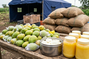 Tukaram Mundhe FDA Commissioner Maharashtra | Food Adulteration Raid Pune Dharashiv | Seized Mangoes Ghee Khava | Maharashtra FDA Action News Updates