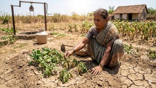 vasai vegetable farming impact of heatwave | maharashtra farmers agriculture water scarcity | leaf vegetable production drop vasai virar | local green market supply crisis mumbai