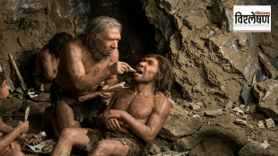 Neanderthal dentists dentistry history | Prehistoric dental surgery stone tools | Chagyrskaya cave Siberia anthropology news | Homo neanderthalensis teeth evolution facts