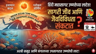 Indian Ocean warming impact on marine life | Climate change effects on Arabian Sea and Bay of Bengal | Marine heatwaves in India 2026 | Impact of rising sea temperatures on biodiversity and fishing industry