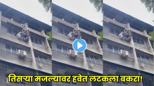Goat hanging dangerously from third floor in Mumbra during dramatic rescue