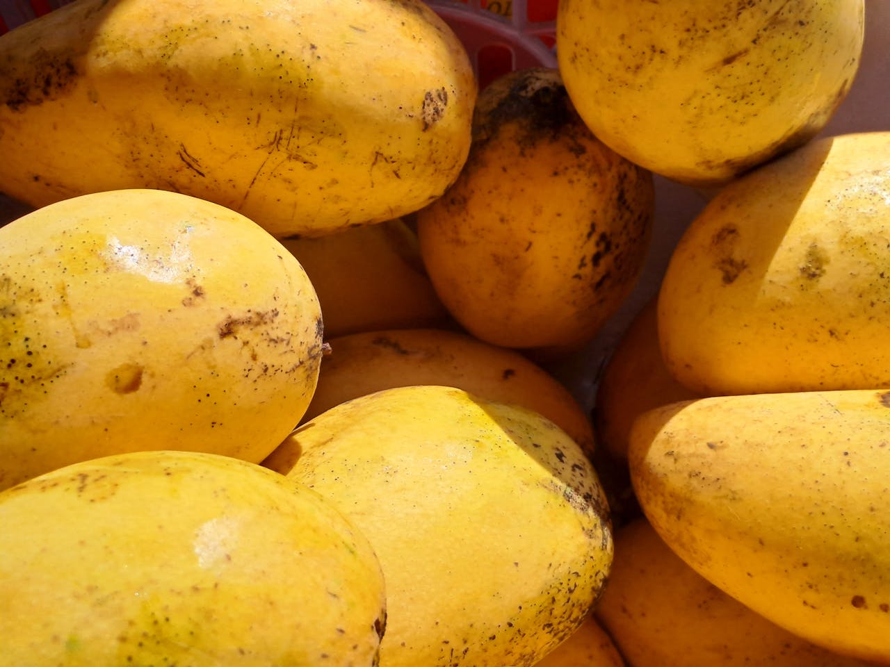 Health Benefits Of Eating Mango In Summer