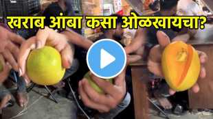 How to Identify Bad Mangoes
