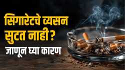 दुष्परिणाम माहीत असूनही सिगारेटचे व्यसन सुटत नाही? नेमकं कारण काय, वाचा