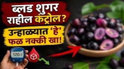 ब्लड शुगर राहील कंट्रोलमध्ये, शरीरही राहील थंड! उन्हाळ्यात ५० रुपयांना मिळणाऱ्या ‘या’ फळाचा वाटा खा; अपचन, गॅस, पोट फुगणे होईल दूर, हृदयही राहील निरोगी!