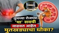 मूतखडा अचानक होत नाही! शरीर आधीच देतं तो शांतपणे वाढत असल्याचे ‘हे’ धोकादायक संकेत; ‘हा’ इशारा कधीच दुर्लक्षित करू नका, नाही तर…