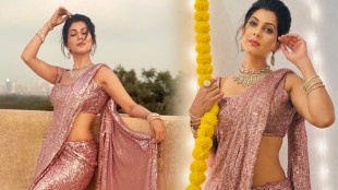 Maadhavi Nemkar Shimmery Saree Look