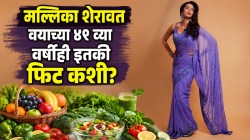 मल्लिका शेरावत वयाच्या ४९ व्या वर्षीही इतकी फिट कशी? ‘हे’ ४ पांढरे पदार्थ सोडले, रोज खाते ‘ही’ साधी भाजी; मग कोणता डाएट फॉलो करते?