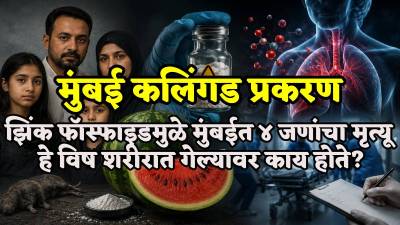 मुंबई कलिंगड प्रकरणात वापरलेले झिंक फॉस्फाइड विष काय आहे?