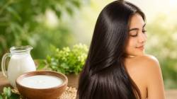 ताकाने केस धुण्याचे फायदे माहिती आहेत का? जाणून घ्या वापर करण्याची योग्य पद्धत!