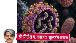 Hantavirus symptoms and precaution tips in Marathi | Microscopic view of Hantavirus structure | हंताव्हायरस लक्षणे आणि उपाय माहिती | उंदरांपासून होणारा हंताव्हायरस प्रसार रोखण्यासाठी खबरदारी