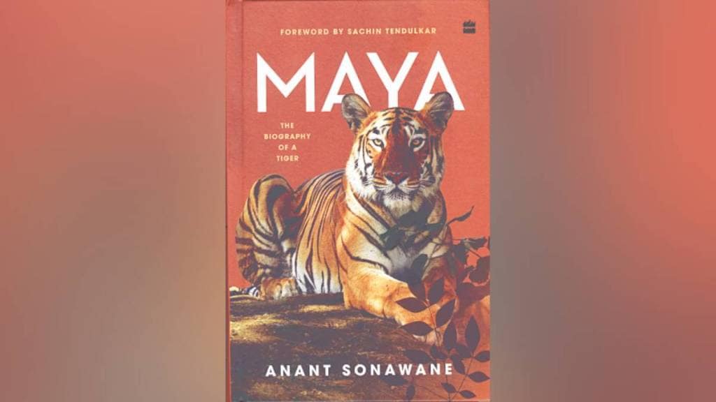 Queen of Tadoba Tiger Maya biography | Anant Sonawane book Maya The Biography of a Tiger | Tadoba Andhari Tiger Reserve wildlife | Marathi book review on tigers and wildlife conservation Queen of Tadoba Tiger Maya biography | Anant Sonawane book Maya The Biography of a Tiger | Tadoba Andhari Tiger Reserve wildlife | Marathi book review on tigers and wildlife conservation