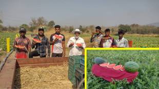 Watermelon farming crisis in Palghar | Maharashtra farmers facing low prices | Watermelon poisoning rumors impact on market | Palghar agriculture news Loksatta