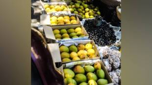 Konkan Hapus Mango Price Drop Pune Market | Ratnagiri Devgad Alphonso Rates Mumbai | Fresh Mango Arrival Maharashtra Markets | Mango Wholesale Market Rates Today
