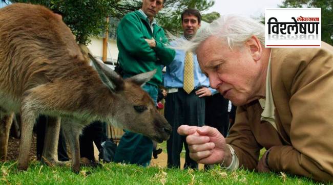 Sir David Attenborough at 100