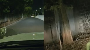Leopard spotted in Chakan MIDC Pune | Mercedes-Benz India plant leopard sighting CCTV | Pune Forest Department leopard rescue operation | Wild animal entry in Chakan industrial area