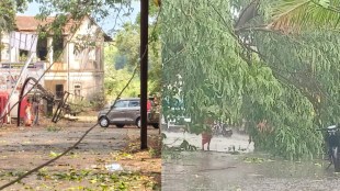 Raigad unseasonal rain thunderstorm lightning death property damage Alibaug. Wej padun mulacha mrutyu Raigad. Tala, Sudhagad, Mahad, Khalapur rain damage Maharashtra. Poultry shed damage.