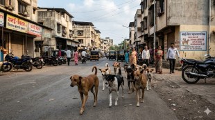 VVMC stray dog feeding spots list | Vasai Virar Municipal Corporation stray dog management | stray dog bites prevention Vasai Virar | Animal birth control rules Maharashtra