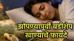 रात्री झोपण्यापूर्वी बडीशेप खाण्याचे ‘हे’ फायदे तुम्हाला माहीतच नाहीत! वाचूक व्हाल थक्क