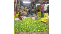 ऐन उन्हाळ्यात लिंबाच्या दरात मोठी घट ; किरकोळ बाजारात २० रुपयांना चार लिंबे
