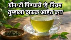 रिकाम्या पोटी ग्रीन टी प्यावा का? जाणून घ्या, ग्रीन टी कधी व किती प्रमाणात पिणं गरजेचं