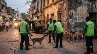 Supreme Court stray dog verdict | Rabid dog euthanasia rules India | Stray dog bite cases Maharashtra | Animal Birth Control Rules 2023