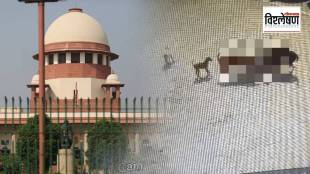 Supreme Court on Stray Dogs