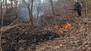 bor tiger reserve wardha forest fire | mangesh thengdi forest department rescue | navargaon borgaon gondi wildfire maharashtra | wildfire mitigation fire blower environment emergency