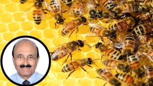 World Bee Day Pune | Dr Dhananjay Vakhale Interview | Honeybee Conservation Maharashtra | Scientific Beekeeping Methods India