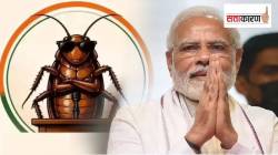 कॉक्रोच जनता पार्टीने भाजपाला टाकले मागे, १ कोटीहून अधिक फॉलोअर्स; मोदींच्या मंत्रिमंडळात फेरबदलाचे संकेत, वाचा ५ महत्त्वाच्या घडामोडी