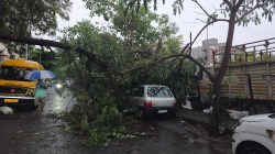 पिंपरी-चिंचवड शहरात जोरदार पाऊस! भोसरीत वीज कोसळली, ११ ठिकाणी झाडे पडली