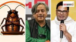 Rajya Sabha Election 2026: ‘कॉक्रोच जनता पार्टी’मुळे राष्ट्रीय सुरक्षेला धोका? राज्यसभेच्या २४ जागांसाठी निवडणुका जाहीर, ५ महत्त्वाच्या घडामोडी