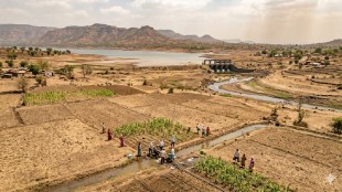 Maharashtra drought crisis due to El Nino | Sangli water scarcity management farmers fields | Koyna Warna dam water storage status | Deficit monsoon farming micro irrigation Maharashtra