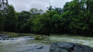 Devkundi dam project Vasai | Palghar water crisis issues | Tungareshwar wildlife sanctuary forest NOC | Maharashtra irrigation department survey