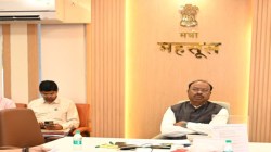 चाऱ्यासाठी सरकारी जमिनीवर आता गवत लागवड! बचत गट, माविमंसह बेरोजगार संस्थांशी भाडे करार…