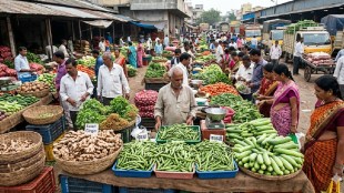 Pune Market Yard vegetable rates today | Satari Ale ginger price hike Pune | Gultekdi vegetable market report | Maharashtra Mandi Bhav updates