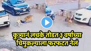 Shocking video Stray Dog Attacks & Drags 3-Yr-Old Child For 30 Metres In Vijayapura; Disturbing CCTV Footage Goes Viral