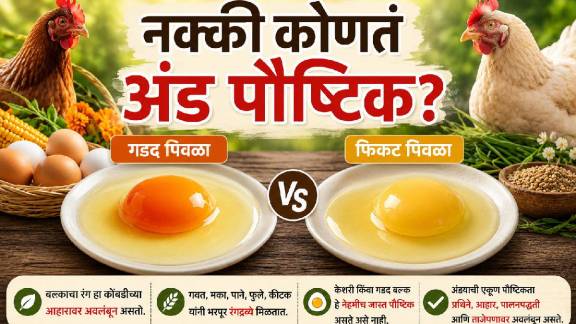 Does Dark Yellow Mean More Nutrition?
