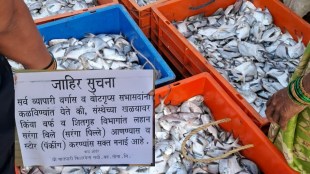 Palghar Pomfret Fishing