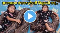 काळजाचा ठोका चुकवणारा VIDEO! अजगराच्या अंगावर झोपली चिमुकली अन्…; पालकांच्या निष्काळजीपणावर नेटकरी संतापले