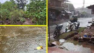 Ratnagiri pre monsoon rain updates | Alphonso mango price drop Maharashtra | Kokan mango crop damage heavy rainfall | Kokan weather forecast rainy season updates