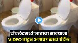 सावधान! टॉयलेटमध्ये जाताना एकदा नीट पाहाच; रिसॉर्टमध्ये घडला असा प्रकार की मित्रांची उडाली झोप, VIDEO पाहून अंगावर काटा येईल