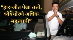 “जनतेचा कौल मान्य, मी प्रामाणिक होतो”; थलपती विजय यांच्या झंझावातात स्टॅलिन यांचा पराभव; पहिली प्रतिक्रिया समोर