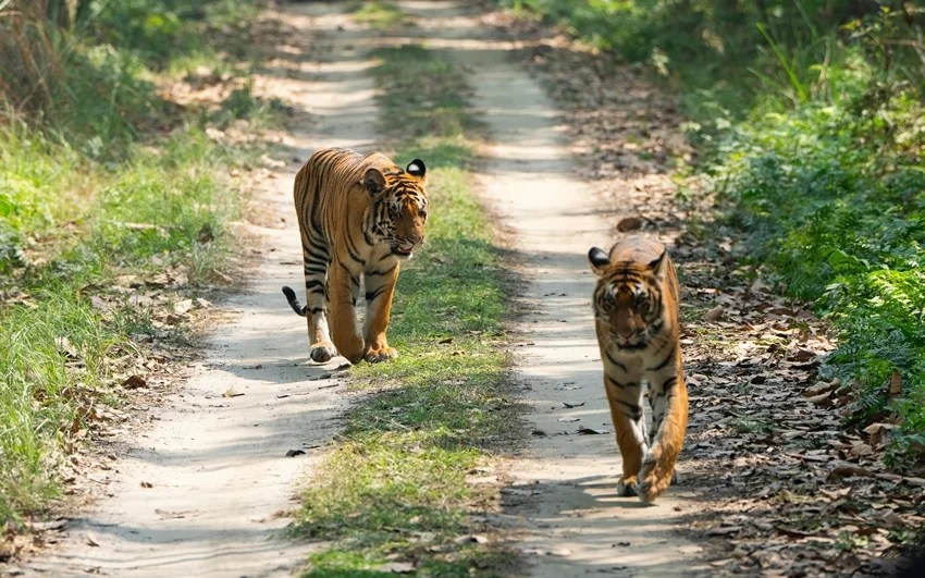 UNESCO World Heritage Sites in India