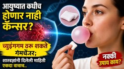 आयुष्यात कधीच होणार नाही कॅन्सर? च्युइंगगम ठरू शकते गेमचेंजर; शास्त्रज्ञांनी दिलेली माहिती एकदा वाचाच..