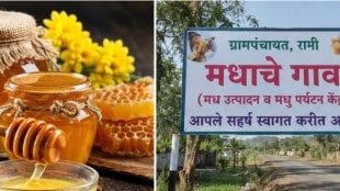 Honey Village project in Dhule | Madhache Gaav Rami North Maharashtra | Honey tourism and bee keeping Maharashtra | Raghavendra Bhadane Dhule Rural MLA