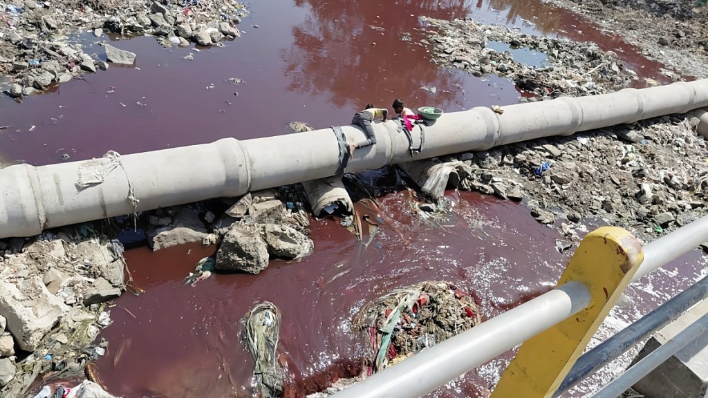 malegaon mosam river pollution case | malegaon corporation officers suspended | bakri eid malegaon river controversy | nashik crime and civic news live updates malegaon mosam river pollution case | malegaon corporation officers suspended | bakri eid malegaon river controversy | nashik crime and civic news live updates