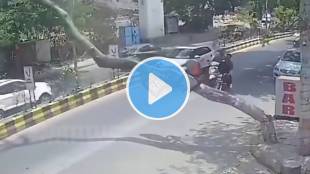 nagpur tree collapse accident ambazari road | dangerous tree falling incident nagpur | nagpur municipal corporation nmc negligence | ambazari lake road marathi news updates