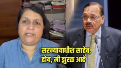 ‘होय मी झुरळ आहे’, सरन्यायाधीश सूर्य कांत यांच्या टिप्पणीनंतर अंजली दमानियांची खोचक प्रतिक्रिया